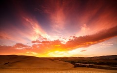 Desktop image. Nature. ID:52082