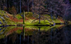 Desktop image. Nature. ID:52113