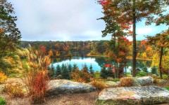 Desktop wallpaper. Nature. ID:52118