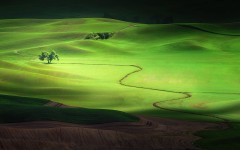 Desktop wallpaper. Nature. ID:52139