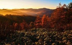 Desktop wallpaper. Nature. ID:52165