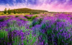 Desktop wallpaper. Nature. ID:52179