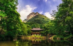 Desktop wallpaper. Nature. ID:52202