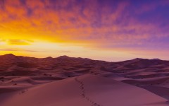 Desktop wallpaper. Nature. ID:52238