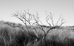 Desktop wallpaper. Nature. ID:52264