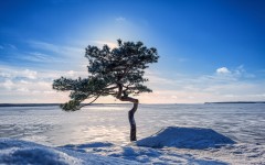 Desktop wallpaper. Nature. ID:52420