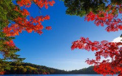 Desktop wallpaper. Nature. ID:52509