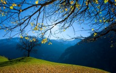 Desktop wallpaper. Nature. ID:52531