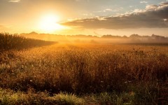 Desktop wallpaper. Nature. ID:52608