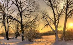 Desktop image. Nature. ID:52629