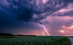 Desktop wallpaper. Nature. ID:52656
