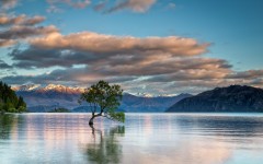 Desktop wallpaper. Nature. ID:52679