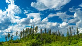 Desktop wallpaper. Nature. ID:132499