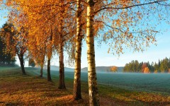 Desktop image. Nature. ID:52750