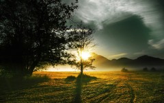 Desktop image. Nature. ID:52753