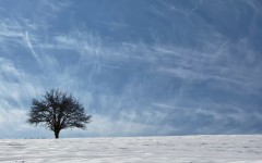 Desktop image. Nature. ID:52765