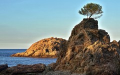 Desktop wallpaper. Nature. ID:52784