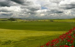 Desktop wallpaper. Nature. ID:52796