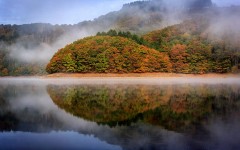 Desktop wallpaper. Nature. ID:52801