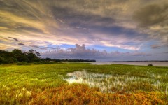 Desktop wallpaper. Nature. ID:52853