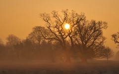 Desktop wallpaper. Nature. ID:52887