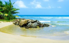 Desktop wallpaper. Nature. ID:52902