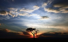 Desktop wallpaper. Nature. ID:52918
