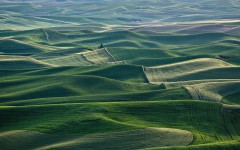 Desktop wallpaper. Nature. ID:52931