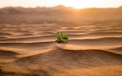 Desktop wallpaper. Nature. ID:52960