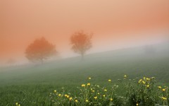 Desktop wallpaper. Nature. ID:52968