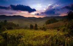 Desktop wallpaper. Nature. ID:53004