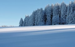 Desktop wallpaper. Nature. ID:53007