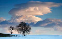 Desktop wallpaper. Nature. ID:53044