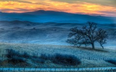 Desktop wallpaper. Nature. ID:53085