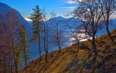Desktop wallpaper. Nature. ID:53106