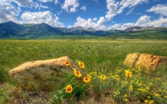 Desktop wallpaper. Nature. ID:53110