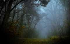 Desktop wallpaper. Nature. ID:53111