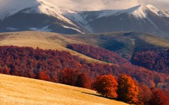 Desktop wallpaper. Nature. ID:53280