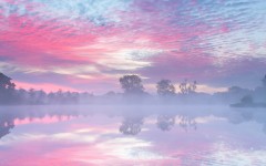 Desktop wallpaper. Nature. ID:53288