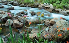 Desktop wallpaper. Nature. ID:53342