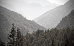 Desktop wallpaper. Nature. ID:53475