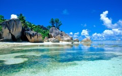 Desktop image. Nature. ID:53483