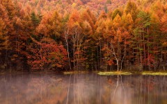 Desktop wallpaper. Nature. ID:53496