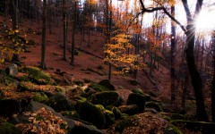 Desktop wallpaper. Nature. ID:53643