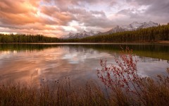 Desktop wallpaper. Nature. ID:53731