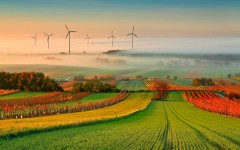 Desktop wallpaper. Nature. ID:53735