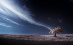 Desktop wallpaper. Nature. ID:53750