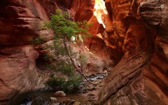 Desktop wallpaper. Nature. ID:54075