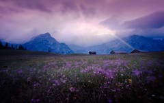 Desktop wallpaper. Nature. ID:54152
