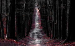 Desktop image. Nature. ID:54210